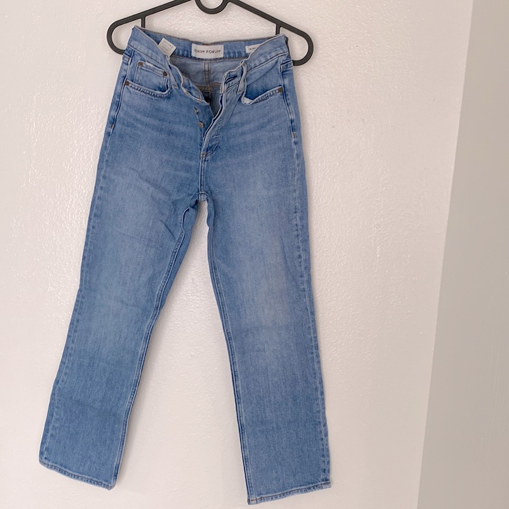 Aritzia Denim Forum Jean